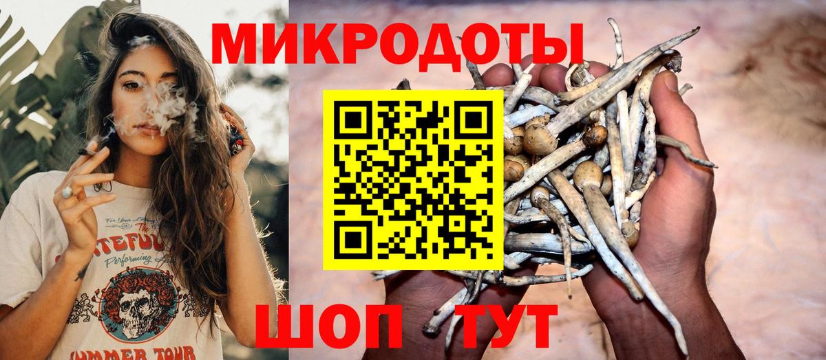 Псилоцибиновые грибы GOLDEN TEACHER  Вход с VPN  купить наркотик  Псилоцибиновые грибы мухоморы  Новочеркасск 